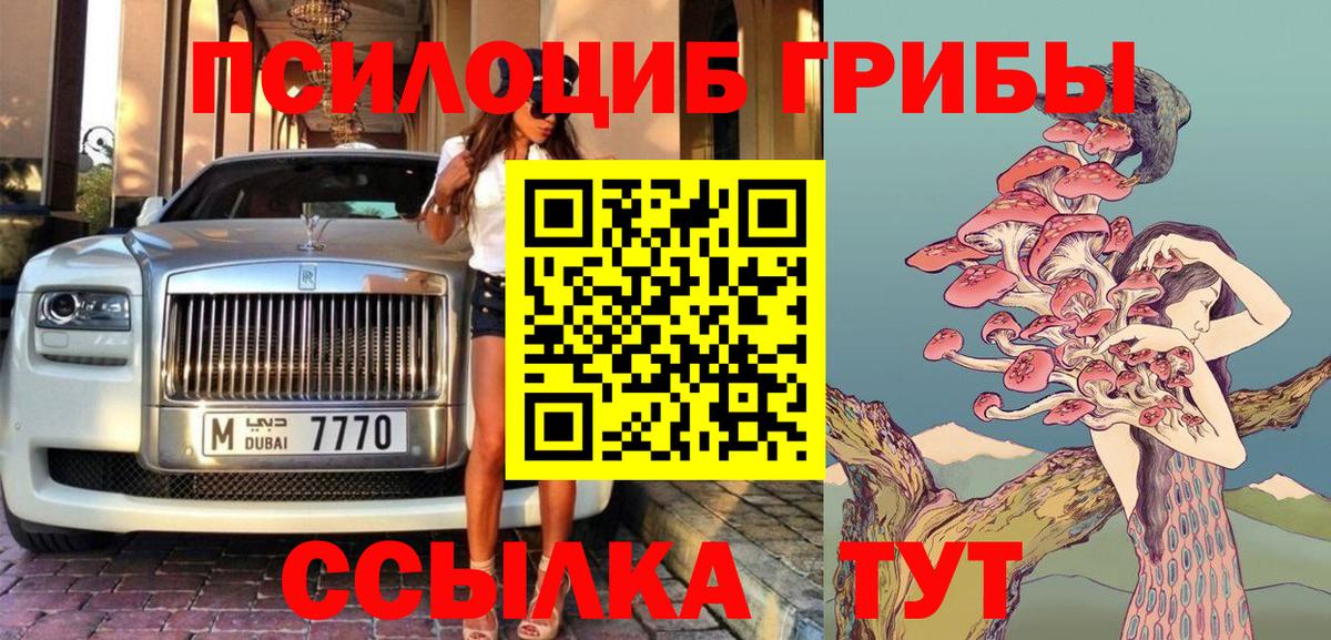 Галлюциногенные грибы Psilocybine cubensis Карасук