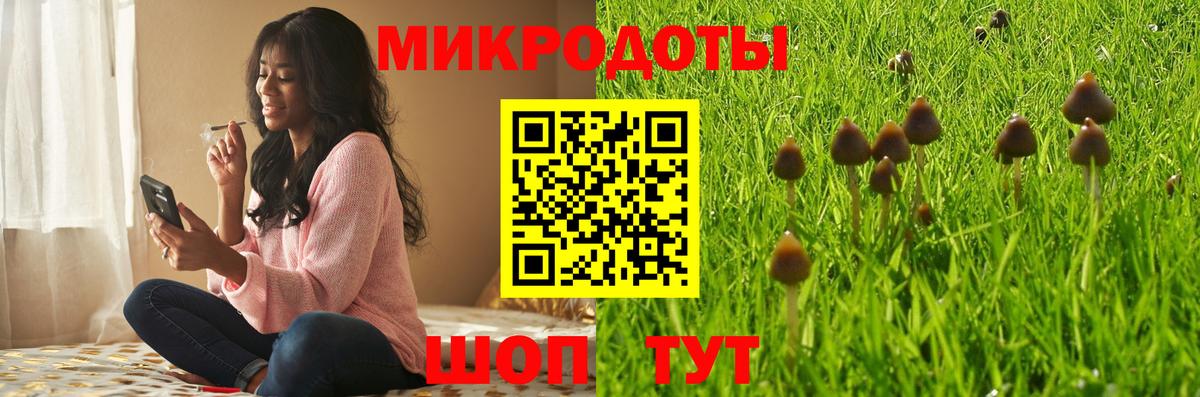 Псилоцибиновые грибы ЛСД  наркота  Карасук  Вход с VPN 
